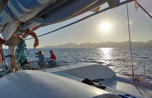 Avistamento de golfinhos ao entardecer em Puerto Calero - Foto 3