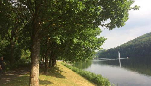 Blick in die Südeifel - Foto 5