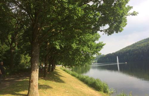 Blick in die Südeifel - Foto 5