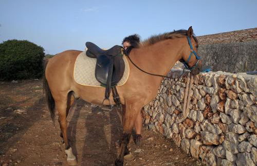 Agroturismo Matxani Gran - Foto 37