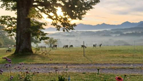 Ferien beim Baur - Foto 2