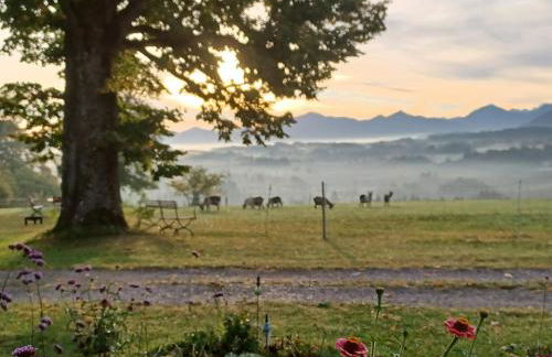 Ferien beim Baur - Foto 2