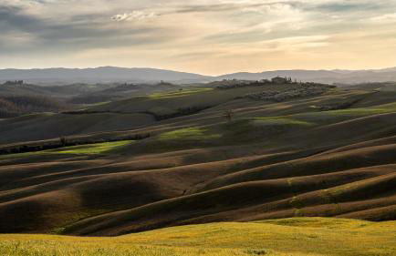 Il Gallinaio, Vivo D'Orcia - Foto 22