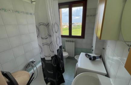 Cleo camelia - Foto 10