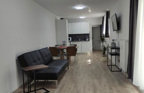 2 Zimmerwohnung in Bietingen - Foto 29