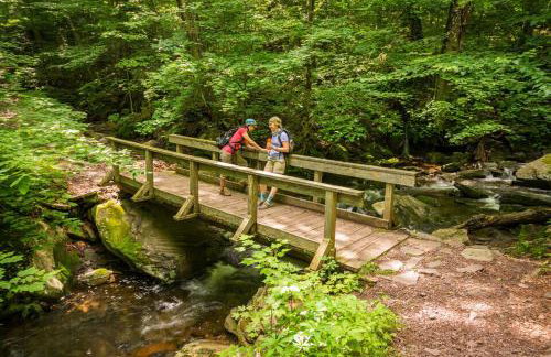 The Acorn includes fire pit, swimming, hiking and nature - Foto 33