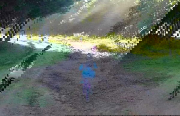 Sitio Preserva - Foto 16