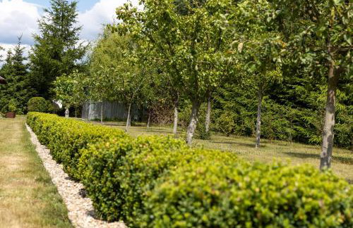 Jak u Dziadka - Foto 20