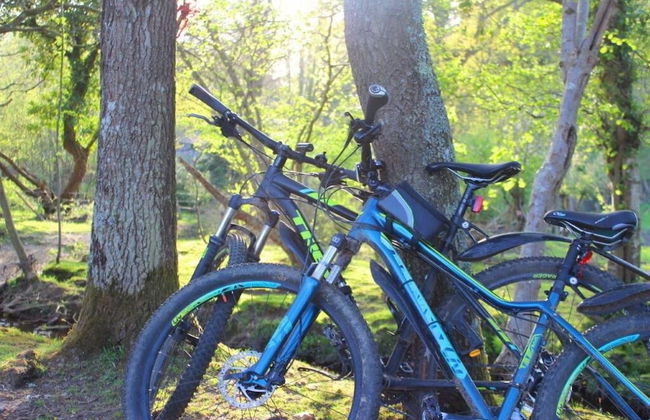 Forest Palms - Foto 25