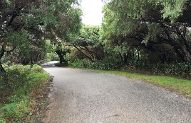 Cosy Corner Seaview Apartments - Foto 30