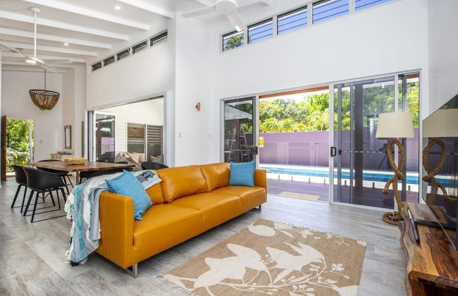 Papillon Bleu - Foto 17