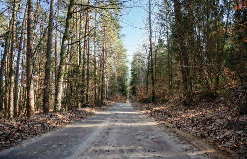 Amazing Home In Gietrzwald With Wifi - Foto 7