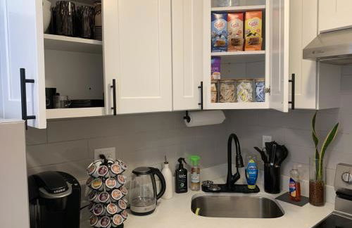 East New York Urban Escape - Foto 9