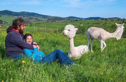 Pastelova Krova - domki w Bieszczadach - Foto 48