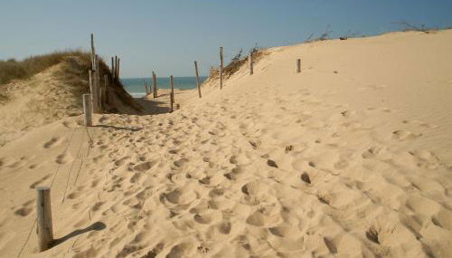 Auxmouettes GV2 - Foto 5