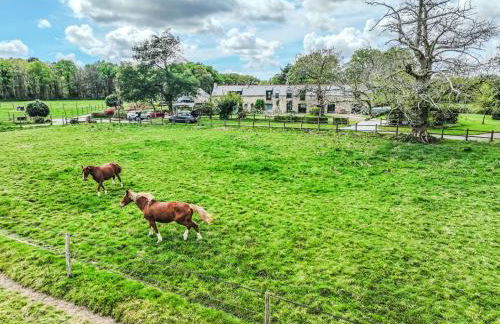 Holiday Home Kezeg by Interhome - Foto 18