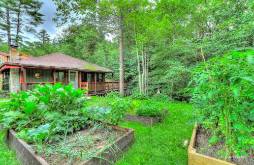 Cozy and Secluded Cabin with a Fireplace in the Poconos Mountains of Pennsylvania - Foto 1