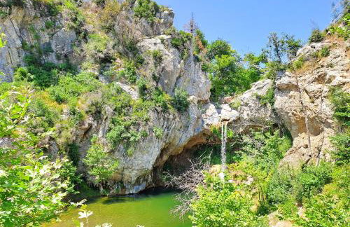 Timber Dream - Photo 31