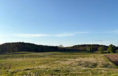 Agroturystyka Żółta Ostoja - Foto 5