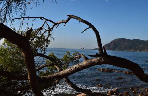 T2 climatisé à 500m de la plage sur la presqu'ile de Saint Mandrier sur Mer - Photo 35