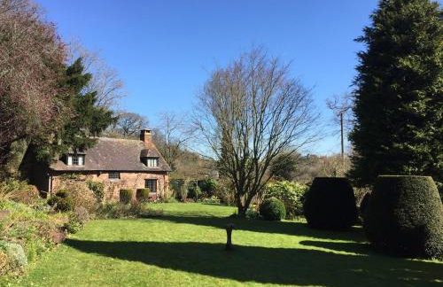 Saint Pancras Chapel - Foto 42