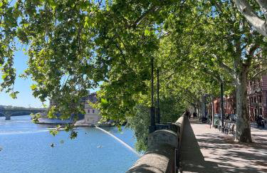 Le Saphir - Bords de Garonne - Foto 14