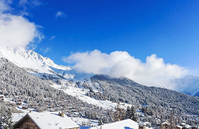 Licorne 13 - Foto 30