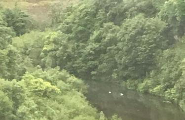 River View - Photo 42