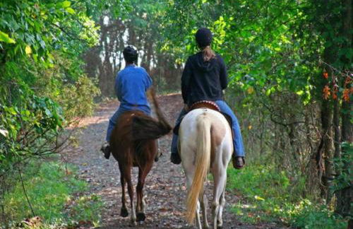 La Valle Del Sole Country House - Foto 19