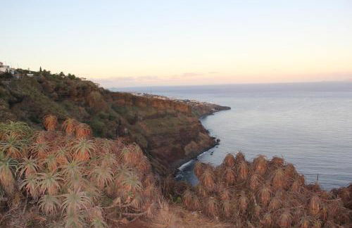 Penthouse Quinta Village Garajau - Foto 62