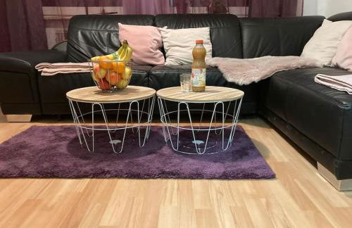 Apartment am Rhein ganze Wohnung NETFLIX Internet 1000 Mbits, free Parking - Foto 8