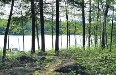 Belgrade Lake house with Dock - Photo 12