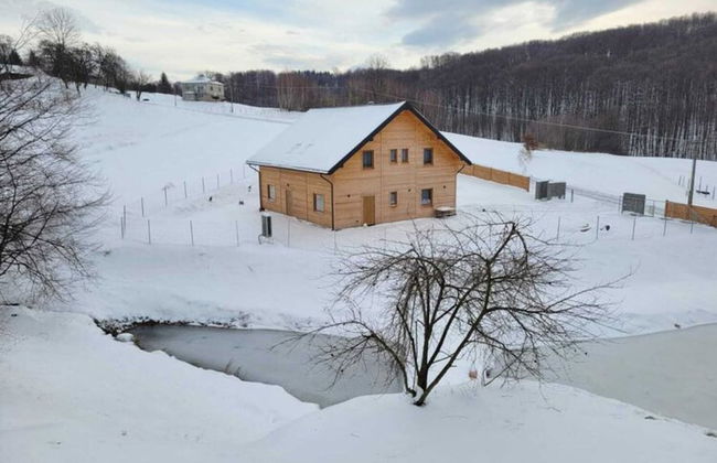 Holiday Home in Wisniowa With Pool and Forest - Photo 31