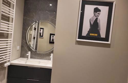 Ainay/centre Lyon/un cocon ! - Foto 10