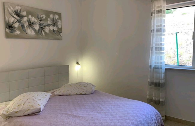 Apartments Villa Dingac - Borak - Photo 9