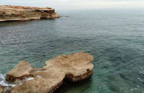 Attico mit Meerblick - Photo 22