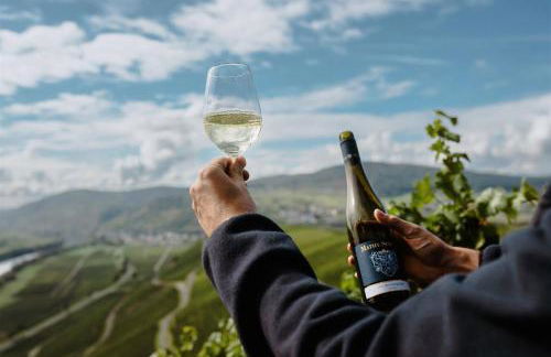 Weingut Mathy-Schanz - Foto 37