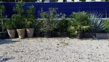 Taormina Skyline - Foto 5