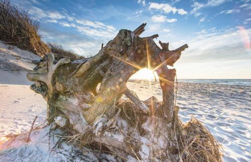 Panorama-Utkiek inklusive Strandkorb von April-Oktober - Photo 19