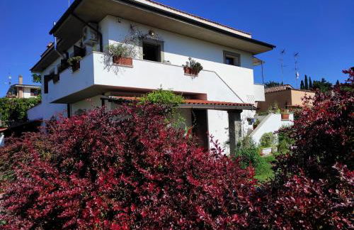 Il Ciliegio Holiday Apartment With Garden - Foto 18