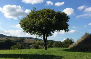 Agriturismo La Vita è Bella - Foto 50