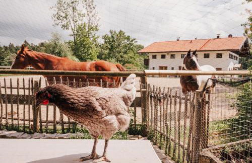 Chalet Zugspitze, Kamin, Tiere - Foto 38