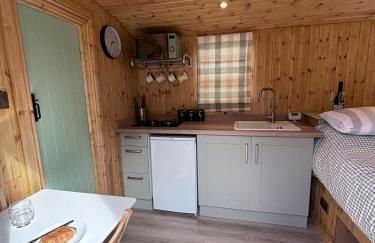 Shepherds Hut with Hot Tub - Foto 13