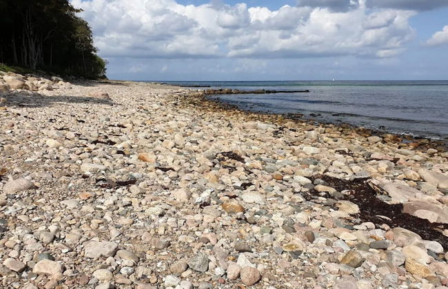 6 Person Holiday Home in Hornbaek - Photo 34