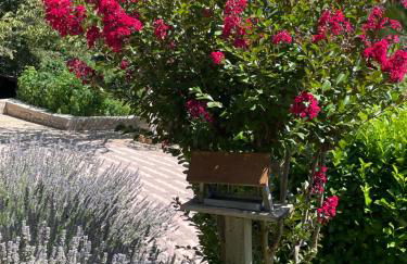 Le Logis d'Eve - Photo 6