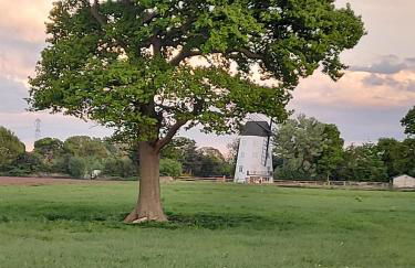 Saughall Mill Farm Cottage - Photo 156
