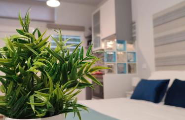 Estudio Madrid Norte 2 - Foto 1