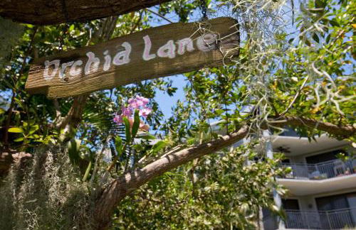 Paradise Found Cayo Hueso - Foto 47