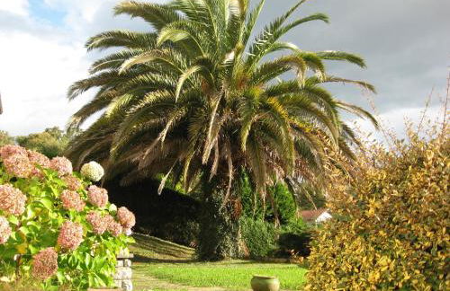 Marie-Pierre - Foto 10