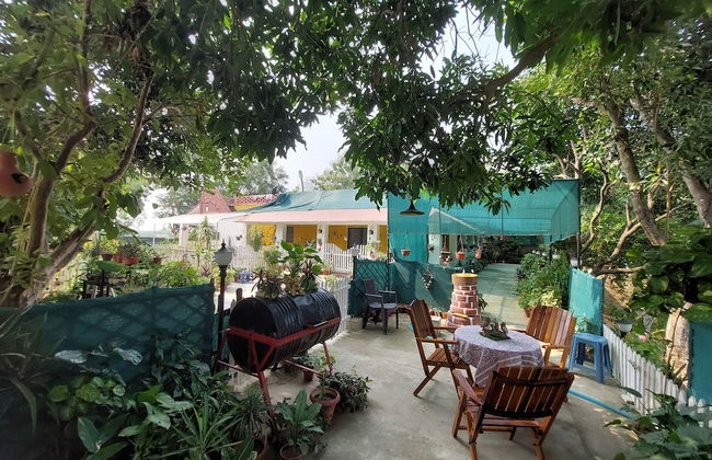 Koko's Farm - Foto 1